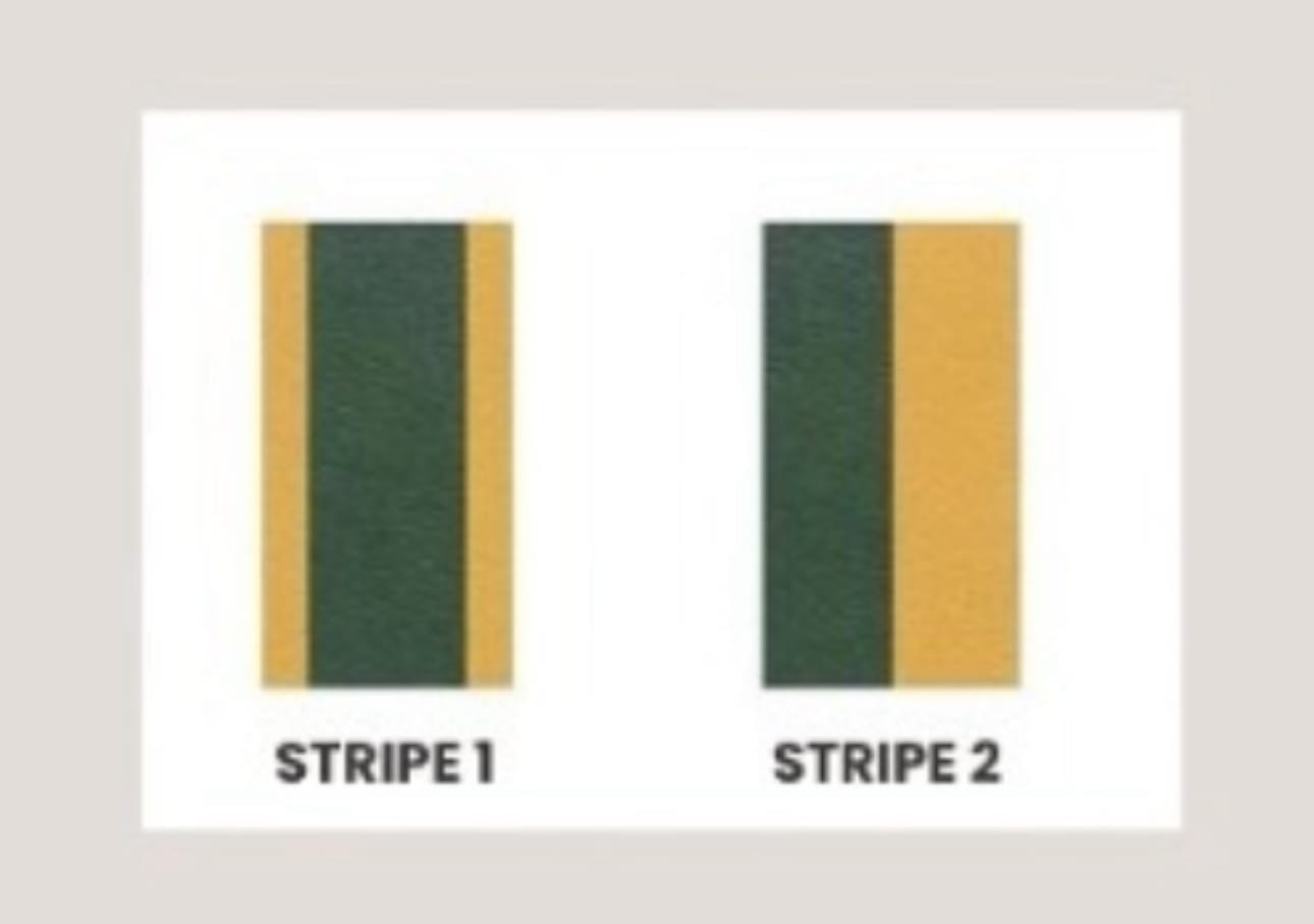 Descriptive text for the image